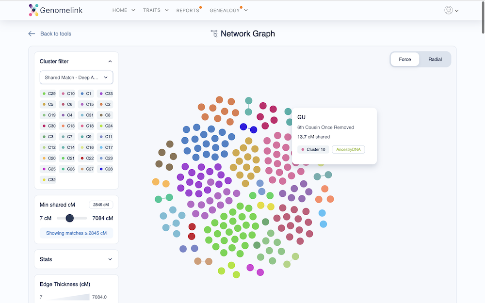 Network Graph